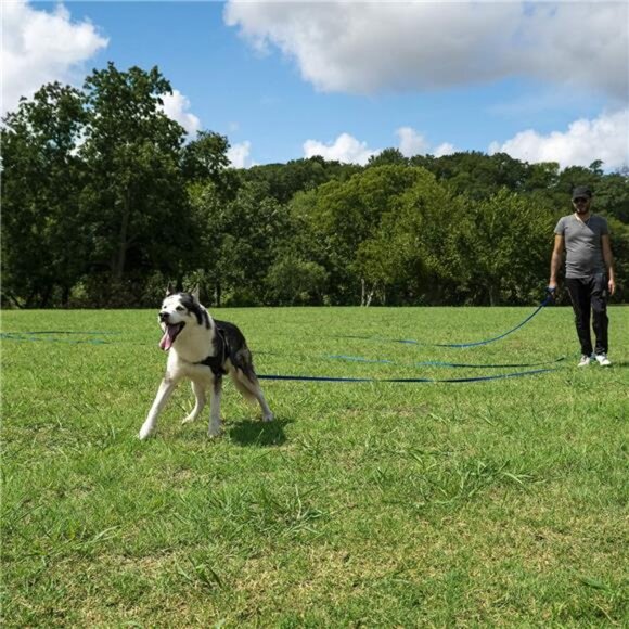 Dog/Puppy Obedience Recall Training Agility Lead - 30ft - Picture 6 of 7